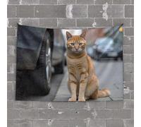 PKRD Garage Decor For Men A Ginger Cat Sits On A City Sidewalk. Tapestry Garage Decor For Men Tapistreys For Room(75X100CM)