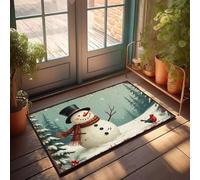 PKRD Outside Rugs For Front Door A Snowman In A Top Hat With A Red Bird. Doormat Fall Door Mats Outdoor Small Outdoor Rug(40X60CM)