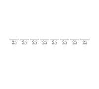 (PKT) Adult One 25th Sparkling Silver Anniversary Pennant Banner 4m