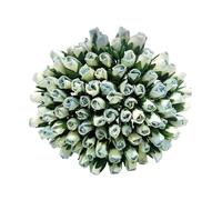 PL Set of 100 Tiny Rose Buds Mulberry Paper Flower Rose-Set1 Craft Handmade Wedding Size 0.15" Very Small Scrapbook for so Many Card Craft Projects (563-Dusty Blue)