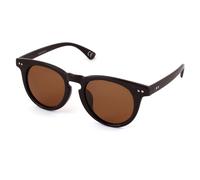 PL256 MARRONE LUCIDO/MARRONE C.03 *3P Unisex Outlet sunglasses Plastic Brown Brown Pantos Polarized