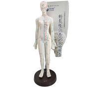 PLABNK Female Human Body Acupuncture Meridian Model, 48CM Human Acupuncture Point Model, Traditional Chinese Medicine Acupuncture Teaching, Pressure Point Acupuncture Model,White