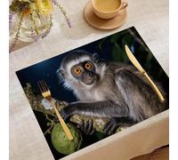 Place Mats Set 30x45cm*4 Peruvian Night Monkey Decorative Summer Decor Placemats Rectangle Spring Table Mats for Party Home Kitchen Dining Table Decoration