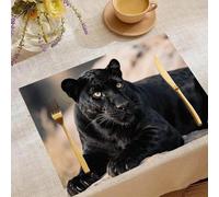 Place Mats Set 30x45cm Animal Panther Decorative Summer Decor Placemats Rectangle Spring Table Mats for Party Home Kitchen Dining Table Decoration