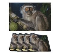 Place Mats Set of 4 Peruvian Night Monkey Decorative Summer Linen Placemats Rectangle Spring Table Mats for Party Home Kitchen Dining Table Decoration