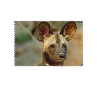 Placemat,African Wild Dog Most Endangered Species Table Mats Place Mats Non Slip Greaseproof Heat Resistant Washable Place Mats 6 Pcs