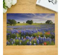 Placemat Set of 4 Washable Table Mats Texas Bluebonnets Scenery Place Mat Non-Slip Heat Resistant Desktop Protection Mats Indoor Outdoor Place Mat for Dining Table