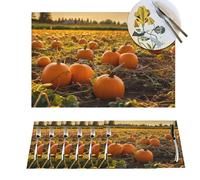 Placemat Set of 6 PVC Pumpkins on the ground Place Mats Non-Slip Table Mats Pumpkins on the ground Place Mat for Kitchen Heat Resistant Desktop Protection Mat for Dining Table