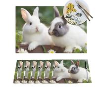 Placemat Set of 6 PVC Two Little Cute Rabbits Place Mats Non-Slip Table Mats Two Little Cute Rabbits Place Mat for Kitchen Heat Resistant Desktop Protection Mat for Dining Table