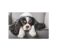 Placemat,Table Mats Place Mats Waterproof Non-Slip Heat Resistant Washable Place Mats 6 pcs,Cavalier King Charles Spaniel Dog