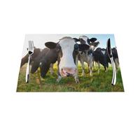 Placemats 1-6 Sets, Funny Cow Sunrise, Washable Placemats For Kitchen Dining Table, Suitable For Kitchen Heat Insulation Table Mats 30x45cm (12x18inches) 6 Pieces