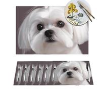 Placemats 6 PCS Washable Woven Place mats for Dining Lovely Maltese Dog Table Mats Farmhouse PVC Placemats for Dining Table Kitchen Decoration Party Holiday