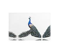 Placemats for Dining Table Set of 6 12x18in HHGFASD Peacock Spreads Its Tail Pattern for hotel Family Banquet