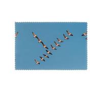 Placemats for Dining Table Set of 6 12x18in YTUOPWE Geese flying in the clear autumn sky Picture for hotel Family Banquet