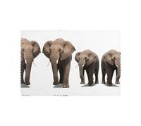 Placemats for Dining Table Set of 6 12x18in YTUOPWE Huge elephant Picture for hotel Family Banquet