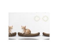 Placemats for Dining Table Set of 6 12x18in YTUOPWE Kitten looking at the stars Picture for hotel Family Banquet