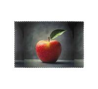 Placemats for Dining Table Set of 6 WHJDPP Apple in The Sketch Printing Hotel Family Banquet