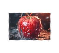 Placemats for Dining Table Set of 6 WHJDPP Ice Frost on The Apple Printing Hotel Family Banquet