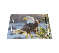 Placemats Set of 1 PC Heat Resistant Non-Slip Place Mats for Dining Table American Bald Eagle Placemats Wipeable Washable PVC Weave Table Mats for Party Kitchen Dining Decor 45 x 30 cm