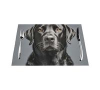Placemats Set of 1 PC Heat Resistant Non-Slip Place Mats for Dining Table Black Labrador Placemats Wipeable Washable PVC Weave Table Mats for Party Kitchen Dining Decor 45 x 30 cm