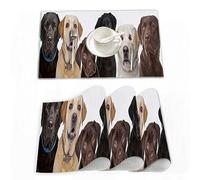 Placemats Set of 4 (30x45 cm),Six Labrador Puppy Pedigree Dogs Row Animals Wildlife Brown Group White Lab Chocolate,Washable Heat Insulation Non-slip Woven Vinyl Place Mats for Kitchen and Dining Room