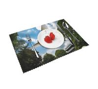 Placemats Set of 4 Heat Resistant Place Mats Non-Slip Washable Table Mat White Doves Fly over the Park Wipeable Placemat for Kitchen Dining Table Wrinkle Free Table Place Mats for Indoor Outdoor