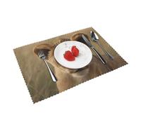 Placemats Set of 4 Heat Resistant Place Mats Non-Slip Washable Table Mats The Waiting Lion Cub Wipeable Placemat for Kitchen Dining Table Wrinkle Free Table Place Mats for Indoor Outdoor