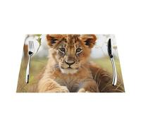 Placemats Set of 4 PCS Washable PVC Table Mats Heat Resistant Vinyl Woven Place Mats Cute little animal lion Placemats Non-Slip Wipeable Placemat for Kitchen Dining Table Decoration 45 x 30 cm