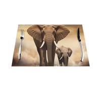 Placemats Set of 4 PCS Washable Wipeable Table Mats Heat Resistant Weave Place Mats Elephant and baby elephant Placemats Wrinkle Free Place Mats for Dining Table Kitchen Party Decoration 30 x 45 cm