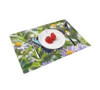 Placemats Set of 4 Washable Wipeable Table Mats Heat Resistant Weave Place Mats Butterfly Flower Placemats Wrinkle Free Place Mats for Dining Table Kitchen Party Holiday Decoration 30 x 45 cm