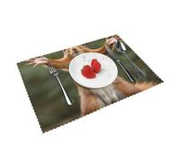 Placemats Set of 4 Washable Wipeable Table Mats Heat Resistant Weave Place Mats Squirrel Funny Animal Placemats Wrinkle Free Place Mats for Dining Table Kitchen Party Holiday Decoration 30 x 45 cm