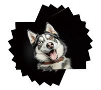 Placemats Set Of 6 Cute Husky Heat Resistant Waterproof Non-Slip Placemats Table Mats For Dining Kitchen Indoor,Portrait Realism Easy To Clean Wipeable Place Mats 45X30Cm,Black White