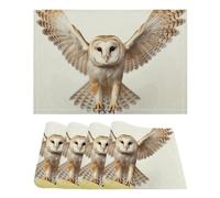 Placemats Set of 6 Heat Resistant Table Mats A Barn Owl Place Mats for Dining Table Non-Slip Desktop Protection Mat Wipeable Placemats Desk Pad for Kitchen