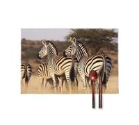 Placemats Set of 6 - Zebras On South Africa Heat Resistant Non-Slip Place Mats, Wipeable Kitchen & Dining Mats, Washable Table Mat for Home Party Christmas Decor