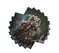 Placemats Set of One Size Washable Wipeable Table Mats Heat Resistant Weave Place Mats Wild Owl Birds Placemats Wrinkle Free Place Mats for Dining Table Kitchen Decor 30 x 45 cm