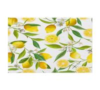 Placemats Yellow Fruit Placemats Set of 6, Heat-Resistant Stain Resistant Washable Table Mats for Kitchen Dining Table PVC Woven Vinyl Placemats(Lemon Flower)