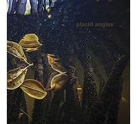 Placid Angles - Touch The Earth [VINYL]