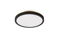 Plafon 20 Ceiling Lamp Black/Brass