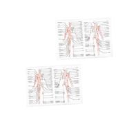 PLAFOPE 2pcs Human Anatomy Poster Body Structure Painting Skeletal Muscle Diagram Teaching Picture Science Anatomy Poster for School