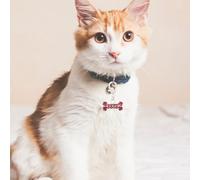 PLAFOPE 2pcs Rhinestone Dog Bone Collar Pendants, Pink and Blue Sparkling Pet Collar Accessories for Small to Medium Dogs, Decorative Hanging Charms for Pet Necklaces