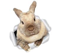 PLAFOPE 3D Bunny Wall Stickers for Bedroom and Playroom Decor, Easy to Use PVC Rabbit Pattern Decals Realistic Cartoon Design, Leaves No Residue, for Home and Birthdays