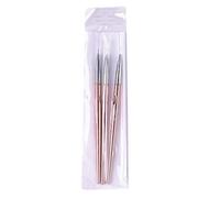 PLAFOPE 3pcs Rose Gold Nail Pen Manicure Painting Pen Nail Art Brush Tools for Women