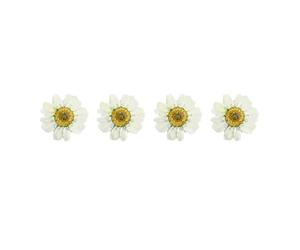 PLAFOPE Dried Daisy Flowers Handmade Accessories 12pcs White Pressed Flower with Synthetic Material for Nail Art and Art Glass Craft for Weddings and Parties Decoration