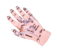 PLAFOPE Hand Reflexology Model Display with Markings PVC Hand Acupuncture Teaching Tool for Tcm Education Massage Training Aid for Beginners and Healthcare Use