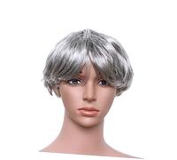 PLAFOPE Men's Synthetic Wig Short Grey Straight Halloween Costume Wig Center Parting Stylish