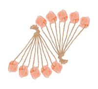 PLAFOPE Mineral Salt Lick Blocks 10pcs Orange Pre-drilled Bricks with Rope for Wildlife Feeding and Livestock Including Horses and Cattle