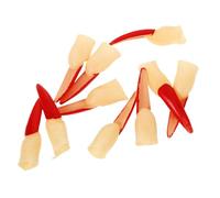 PLAFOPE Realistic Halloween Prop 10pcs Plastic Witch Nails Decorative Party Fake Finger