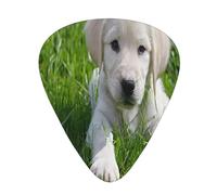 PLAGDECNA Guitar Picks Variety Pack 108 PCS, Bichon Frise Dog Smooth-Edged ABS Plectrums for Guitar & Ukulele, 3 Thickness Options (0.46mm, 0.71mm, 0.96mm), Clear Sound Bright/Warm Tones