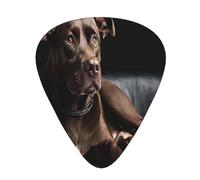 PLAGDECNA Guitar Picks Variety Pack 144 PCS, Brown Labrador Retriever Smooth-Edged ABS Plectrums for Guitar & Ukulele, 3 Thickness Options (0.46mm, 0.71mm, 0.96mm), Clear Sound Bright/Warm Tones