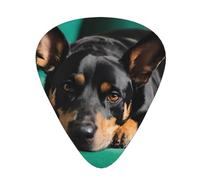 PLAGDECNA Guitar Picks Variety Pack 144 PCS, Dachshund Dog Print Smooth-Edged ABS Plectrums for Guitar & Ukulele, 3 Thickness Options (0.46mm, 0.71mm, 0.96mm), Clear Sound Bright/Warm Tones